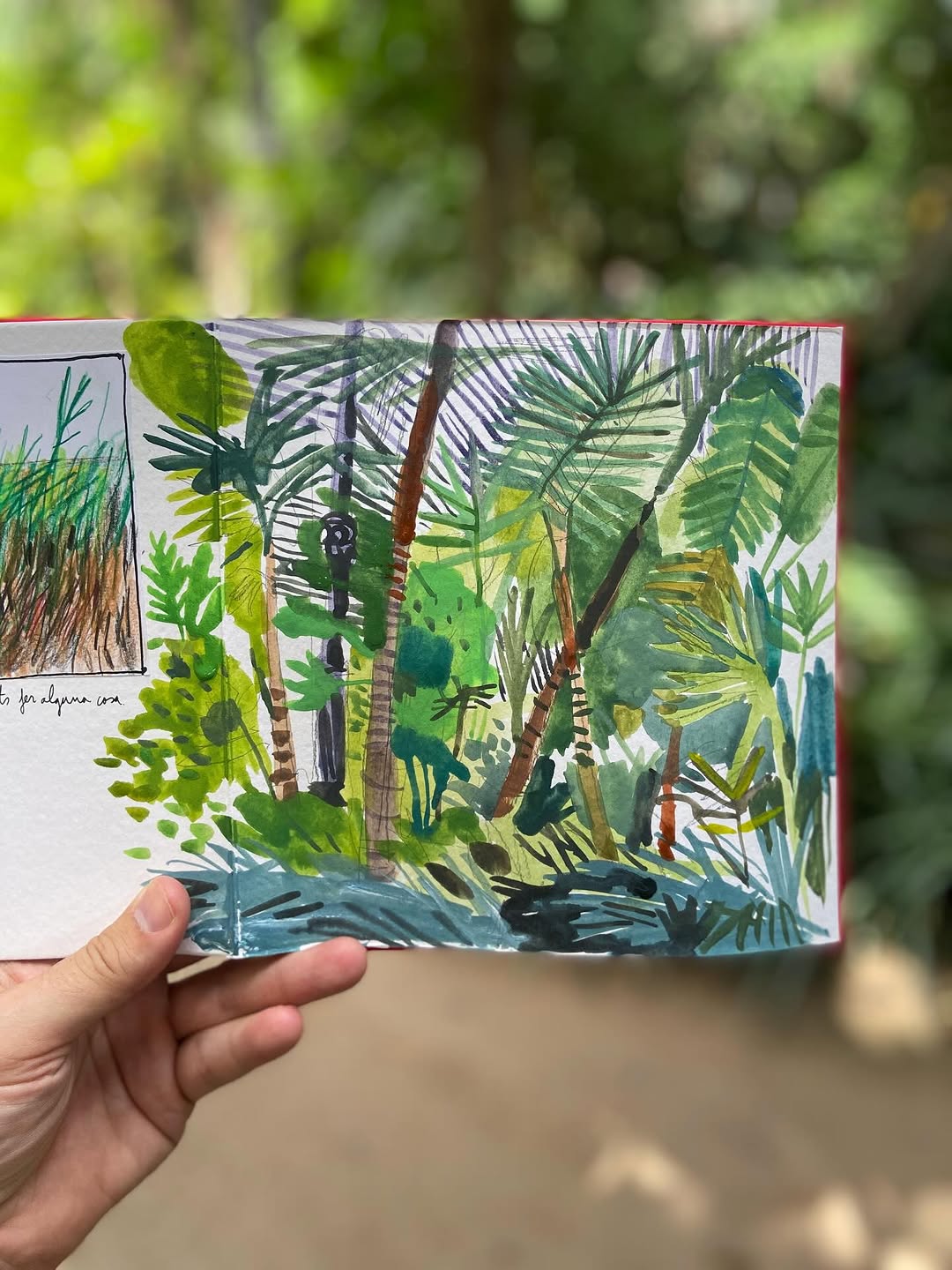 Green gouache sketchbook drawing of tropical plants at the Umbracle by Swasky
