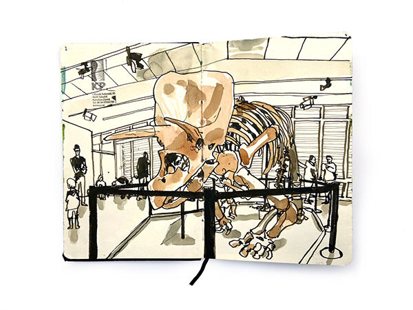 Open sketchbook with a dinosaur skeleton and colour studies by Swasky